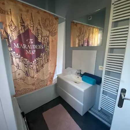 Appartement Hyper Centre Reims Le Gite Du Sorcier Exterior photo