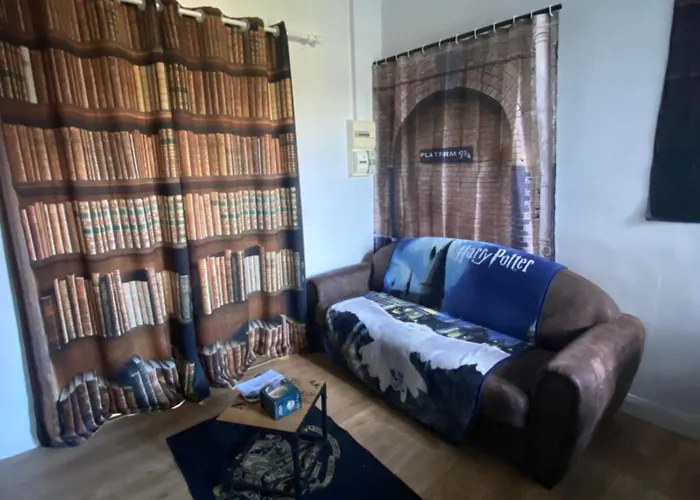 Appartement Hyper Centre Reims Le Gite Du Sorcier