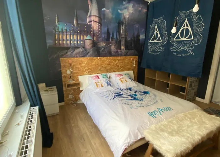 Appartement Hyper Centre Reims Le Gite Du Sorcier