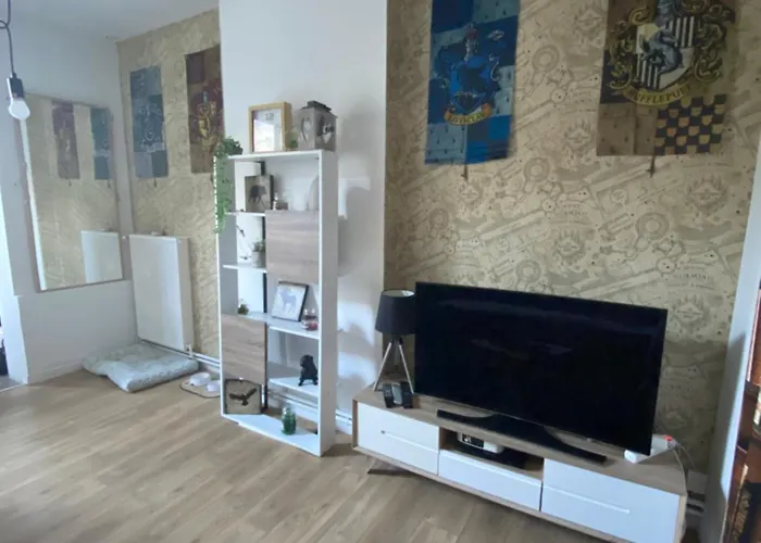 Appartement Hyper Centre Reims Le Gite Du Sorcier