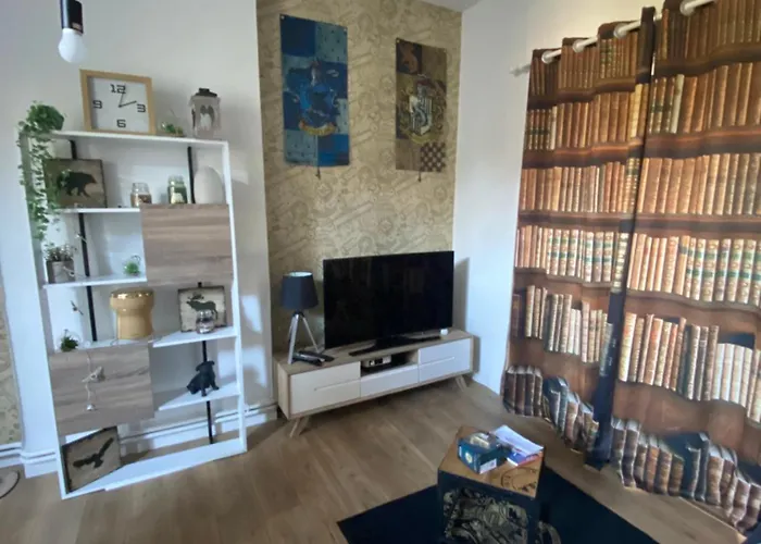 Appartement Hyper Centre Reims Le Gite Du Sorcier